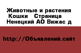 Животные и растения Кошки - Страница 2 . Ненецкий АО,Вижас д.